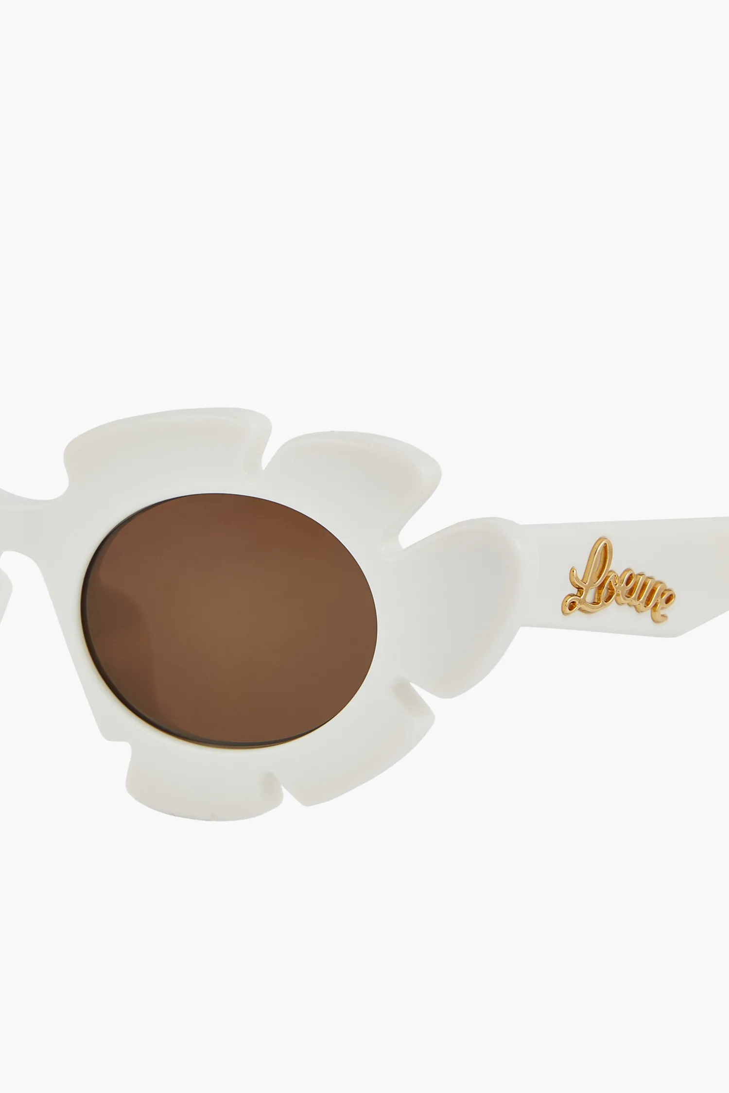 Shop LOEWE FLOWER SUNGLASSES IN INJECTED NYLON